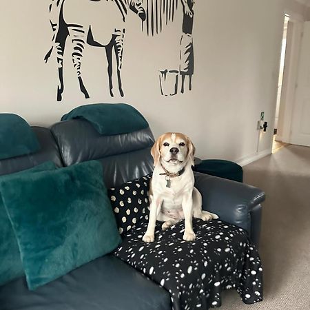 Hereford - Finch House - Modern 4 Bedroom House Located In South Hereford, Dog Friendly With Nearby Countryside, Pool Table, Sleeps Up To 10 Guests - Hosted By Rentmyhouse Bagian luar foto