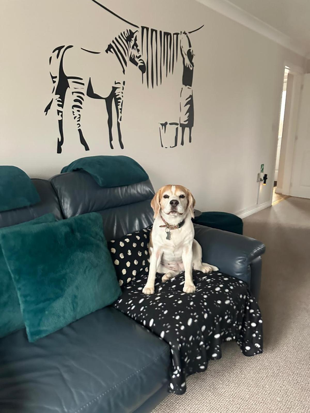Hereford - Finch House - Modern 4 Bedroom House Located In South Hereford, Dog Friendly With Nearby Countryside, Pool Table, Sleeps Up To 10 Guests - Hosted By Rentmyhouse Bagian luar foto